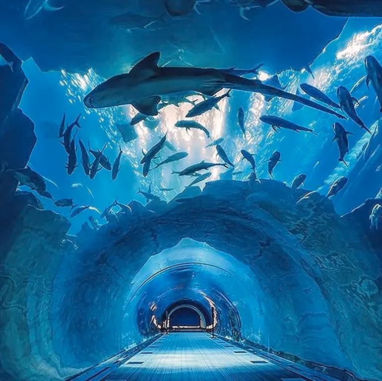 Dubai Aquarium & Underwater Zoo